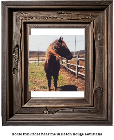 horse trail rides near me in Baton Rouge, Louisiana